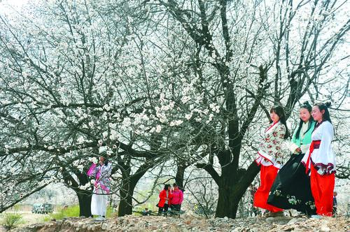 看球吧体育直播app 手机界面展示